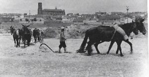 Las eras de enparvar Las eras de enparvar